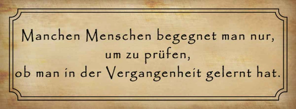 [LA-116629-H] Holzschild 10x27 cm manche Menschen begegnet man nur Spruch Zitat