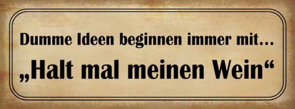 Holzschild 10x27 cm Dumme Ideen mit halt meinen Wein Spruch Zitat