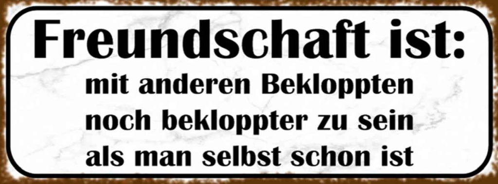 Holzschild 10x27 cm Freundschaft ist noch bekloppter Spruch Zitat