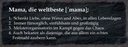 Holzschild 10x27 cm Mama die weltbeste schenkt Liebe Spruch Zitat