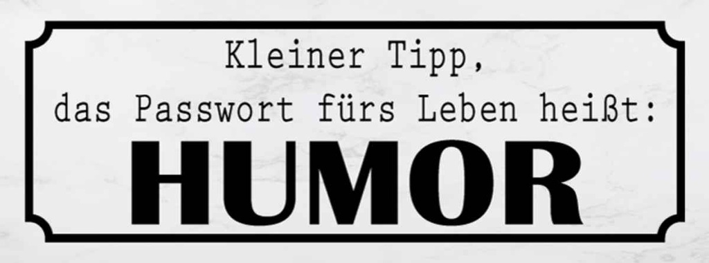 Holzschild 10x27 cm Passwort fürs Leben heißt HUMOR Spruch Zitat