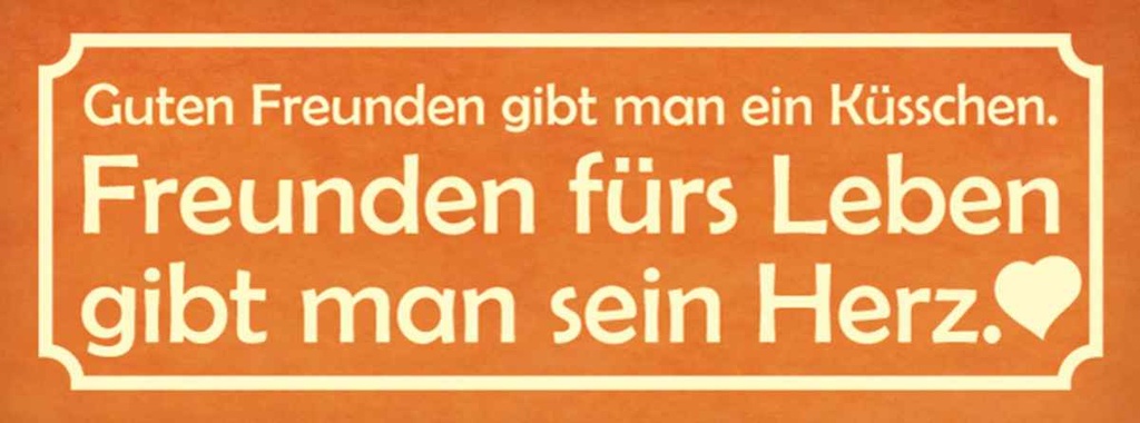 Holzschild 10x27 cm Freunden fürs Leben gibt Herz Familie Freunde