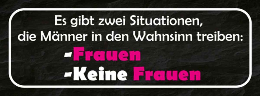Holzschild 10x27 cm Männer Wahnsinn Frauen keine