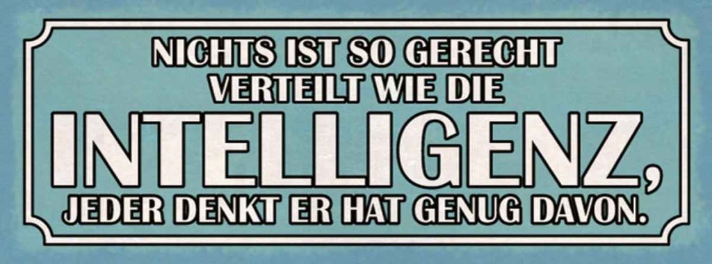 Holzschild 10x27 cm Intelligenz gerecht verteilt Dekoration