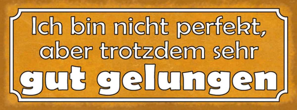 [LA-116872-H] Holzschild 10x27 cm bin nicht perfekt gut gelungen