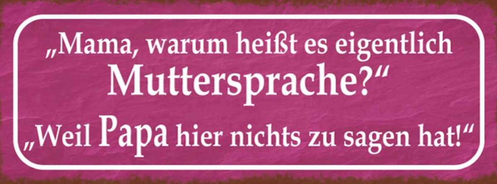 Holzschild 10x27 cm Muttersprache Papa nichts sagen Spruch Zitat