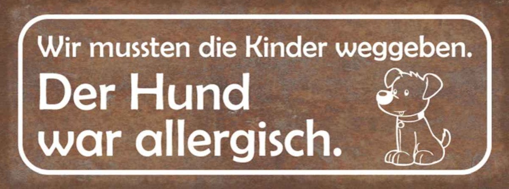 Holzschild 10x27 cm Kinder weggeben Hund allergisch Tier Haustier
