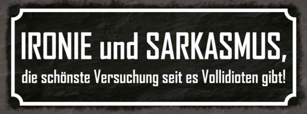 Holzschild 10x27 cm Ironie und Sarkasmus Geschenk