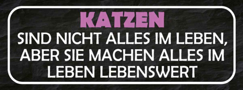 Holzschild 10x27 cm Katzen nicht alles im Leben aber Tier Haustier
