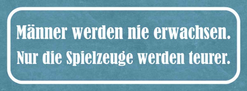 Holzschild 10x27 cm Männer nie erwachsen Spielzeuge Spruch Zitat