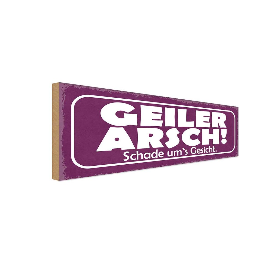 Holzschild 10x27 cm Geiler Arsch Schade um`s Gesicht Spruch Zitat