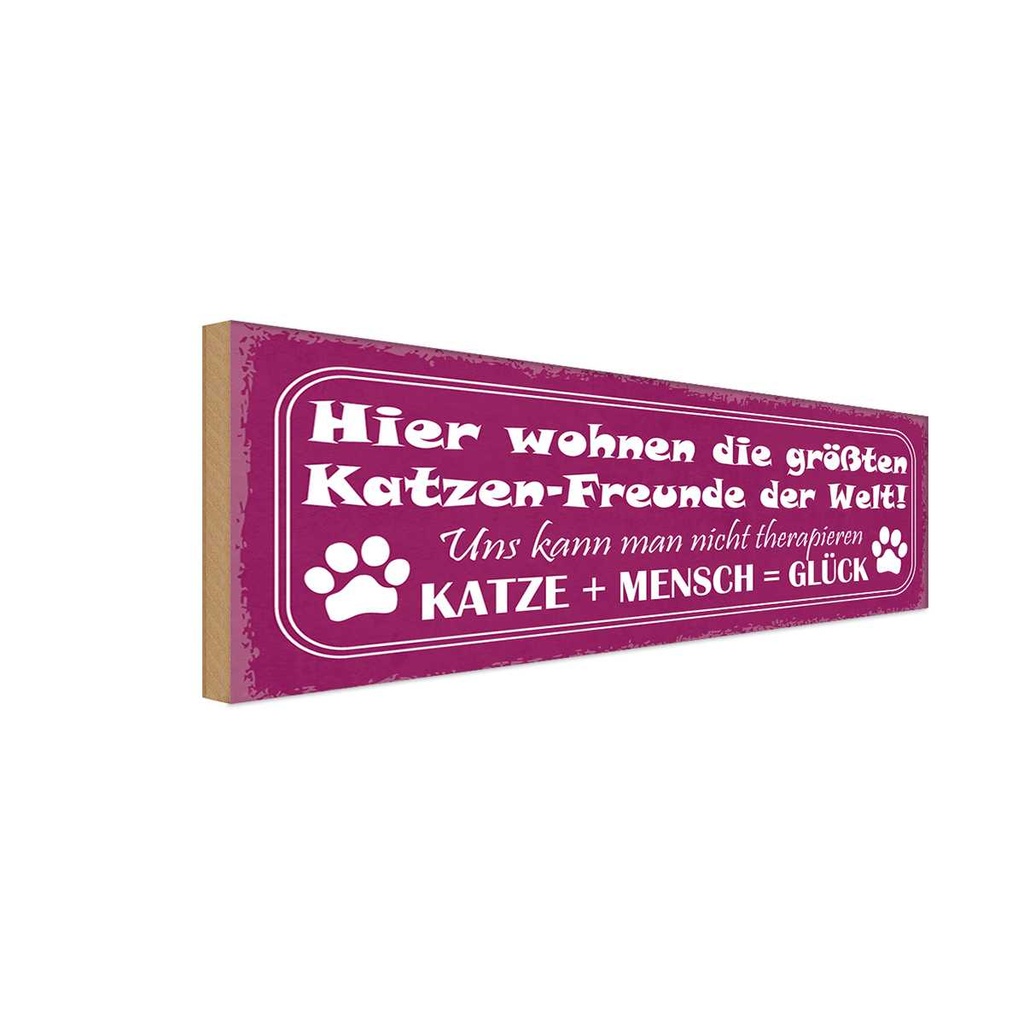 Holzschild 10x27 cm Katze + Mensch = Glück Tier Haustier