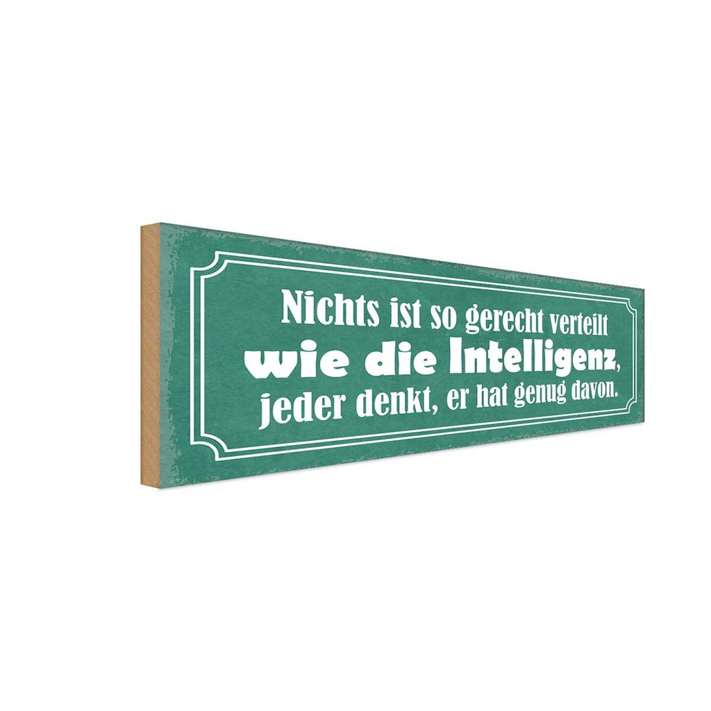 Holzschild 10x27 cm Intelligent gerecht verteilt Dekoration