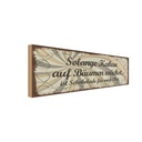 Holzschild 10x27 cm Kakao wächst Schokolade Obst Essen Trinken