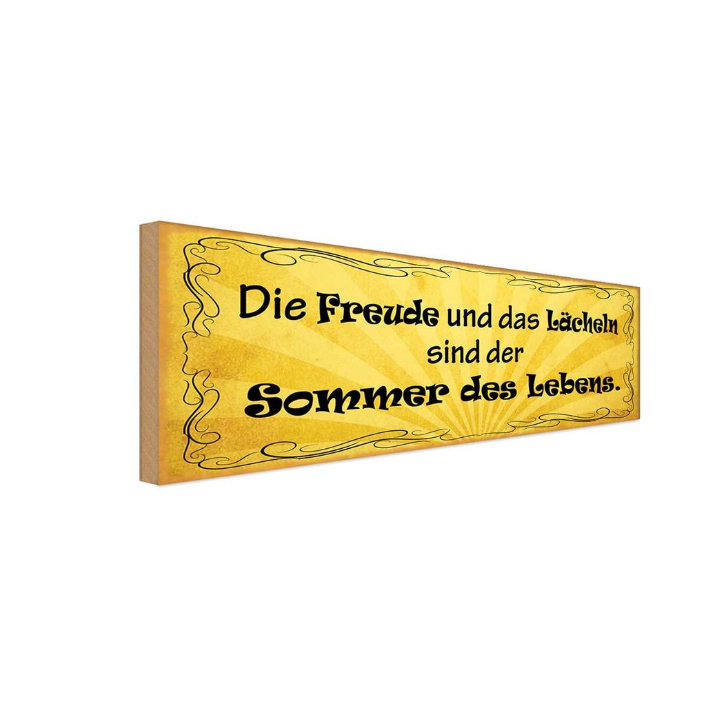 Holzschild 10x27 cm Freude Lächeln Sommer des Lebens Spruch Zitat