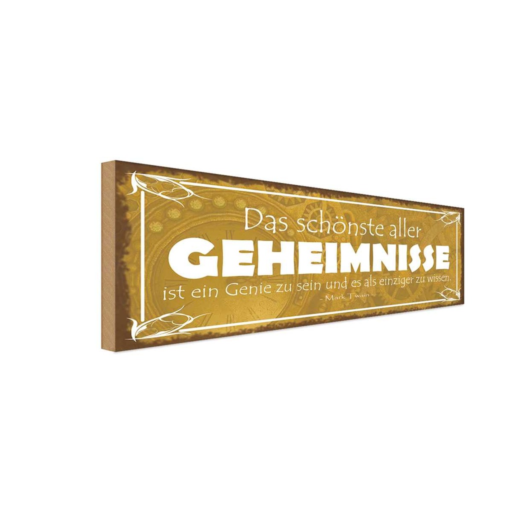 Holzschild 10x27 cm Genie sein und einzige wissen Dekoration