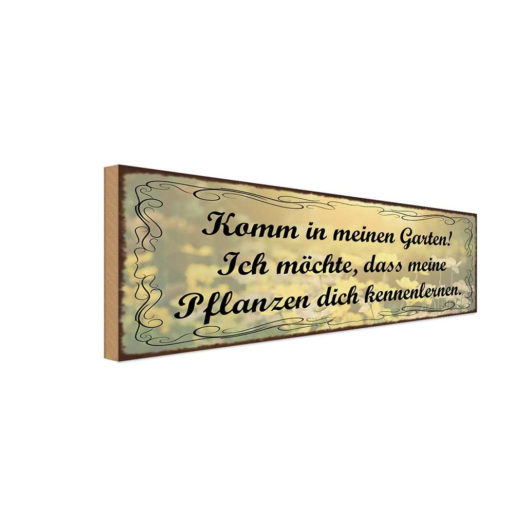 Holzschild 10x27 cm Garten Pflanzen dich kennenlerne Spruch Zitat