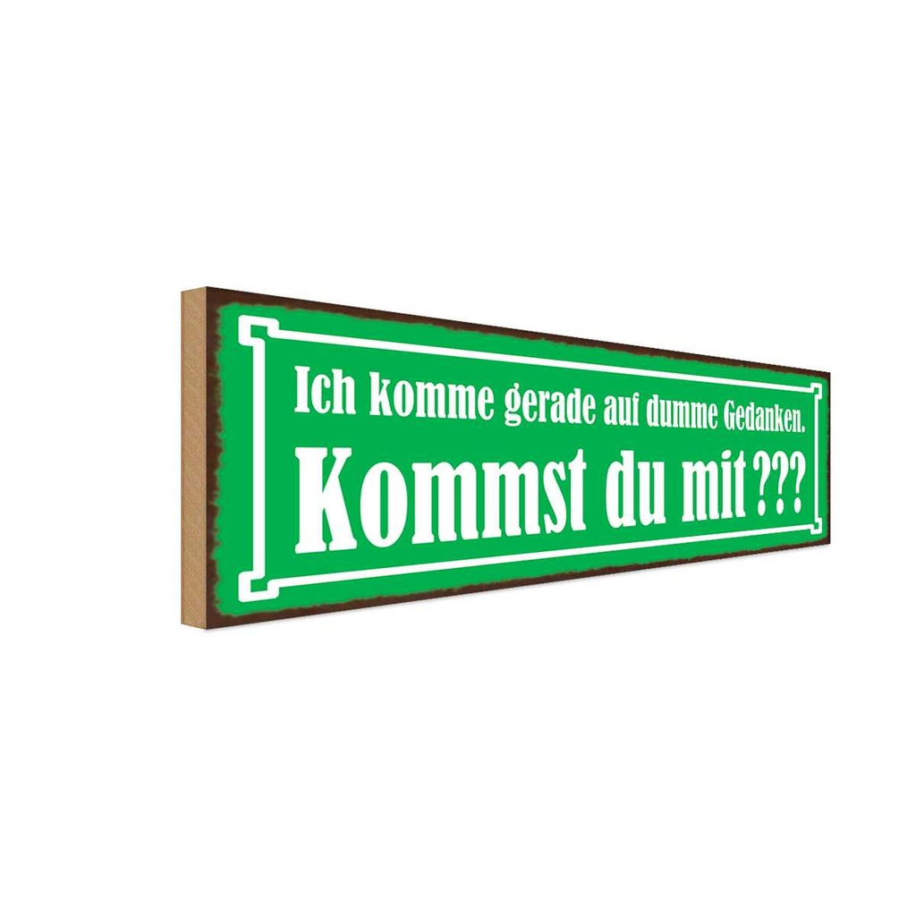 Holzschild 10x27 cm Kommst du mit auf dumme Gedanken Spruch Zitat