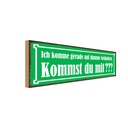 Holzschild 10x27 cm Kommst du mit auf dumme Gedanken Spruch Zitat