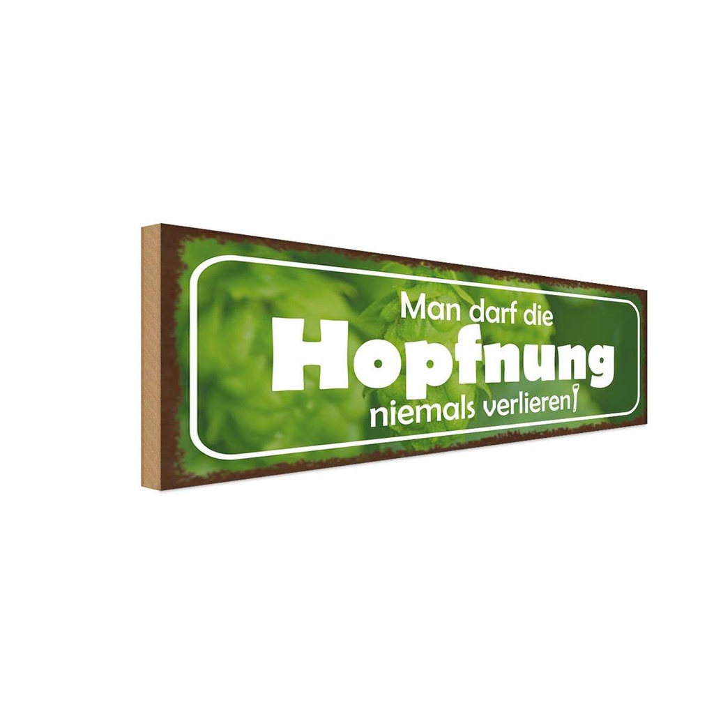 Holzschild 10x27 cm Darf Hopfnung niemals verlieren Spruch Zitat