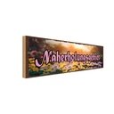 Holzschild 10x27 cm Naherholungsgebiet Dekoration