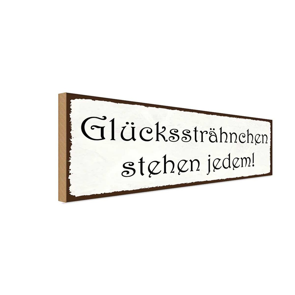Holzschild 10x27 cm Glückssträhnchen stehen jedem Dekoration