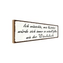 Holzschild 10x27 cm Konto schnell füllen Wäschekorb Spruch Zitat