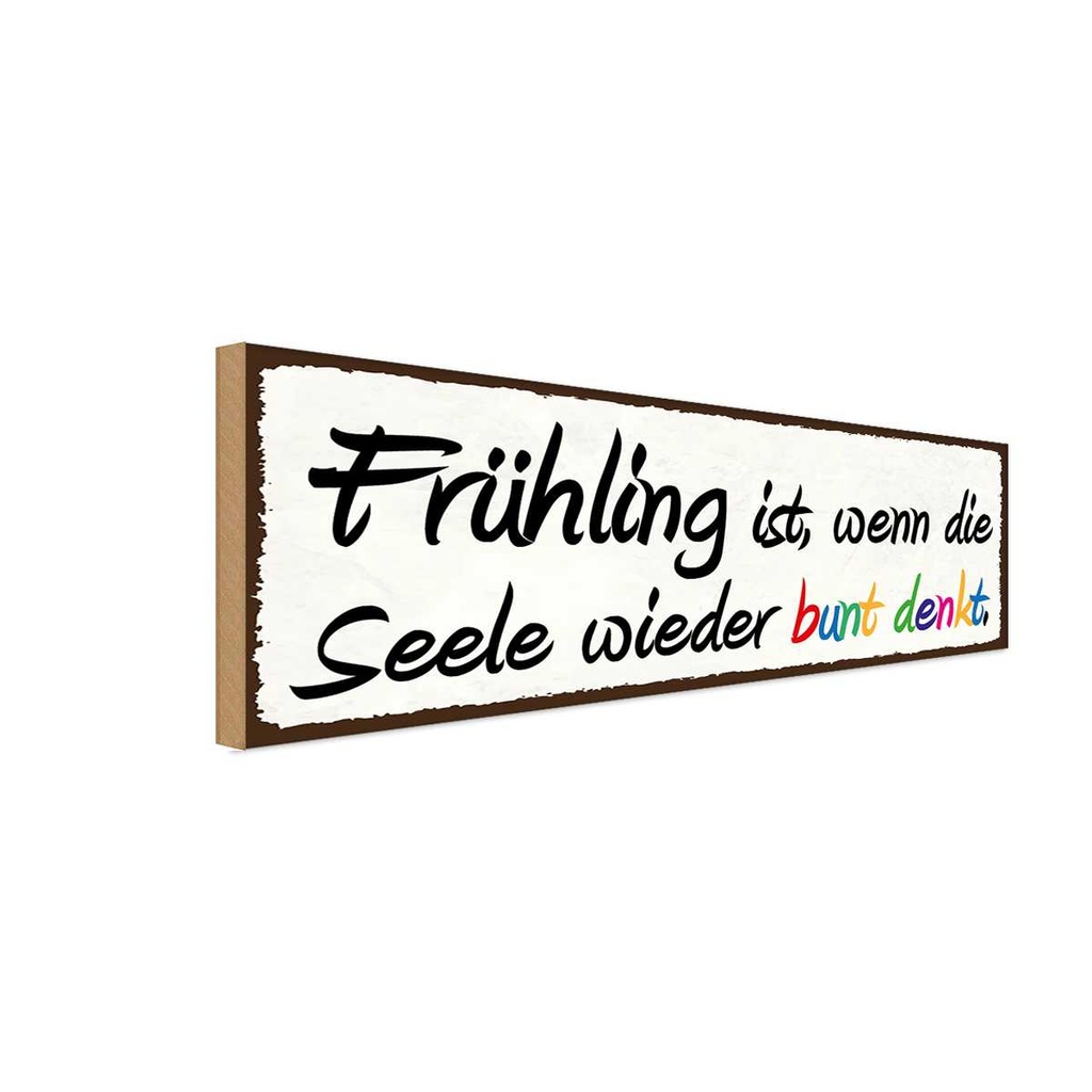 Holzschild 10x27 cm Frühling wenn Seele bunt denkt Dekoration