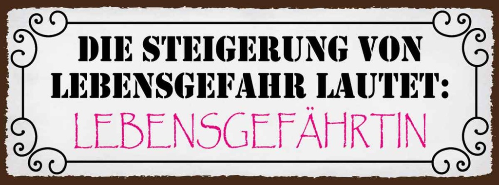Holzschild 10x27 cm Lebensgefahr Lebensgefährtin Dekoration