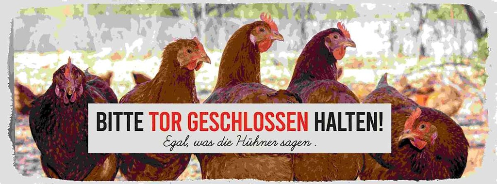 Holzschild 10x27 cm Hühner bitte Tor geschlossen Tier Haustier