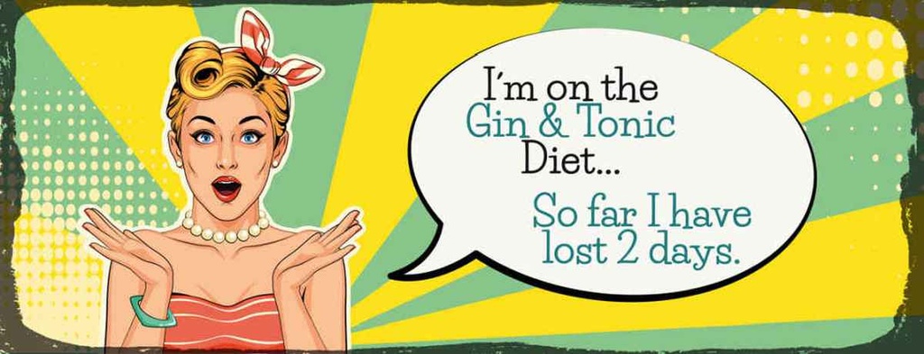 Holzschild 10x27 cm I´m on the Gin & Tonic Diet Dekoration