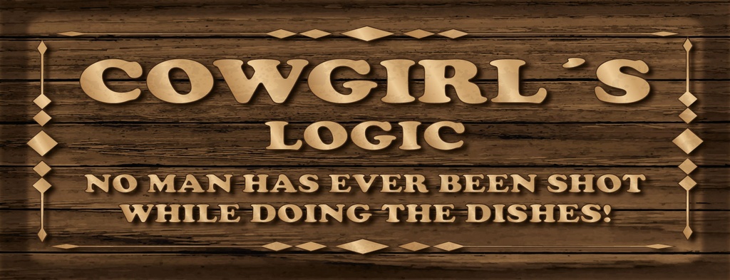 Holzschild 10x27 cm Cowgirls logic