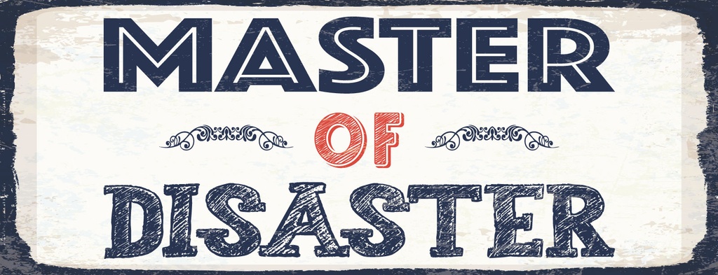 Holzschild 10x27 cm Master of Disaster