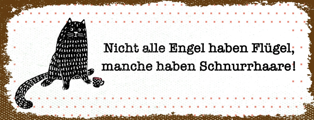 Holzschild 10x27 cm Nicht jeder Engel