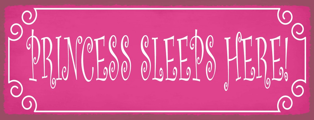 Holzschild 10x27 cm Princess sleeps here rosa