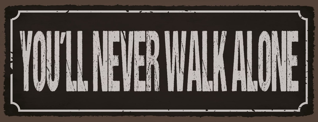 Holzschild 10x27 cm You´ll never walk alone