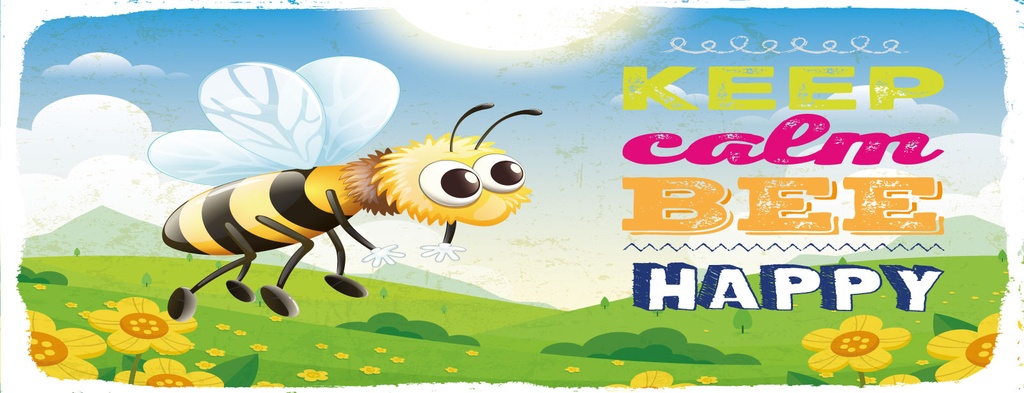 Holzschild 10x27 cm Keep calm bee happy Biene Wiese