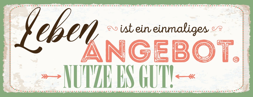 Holzschild 10x27 cm Leben ist ein einmaliges Angebot Nutze es gut