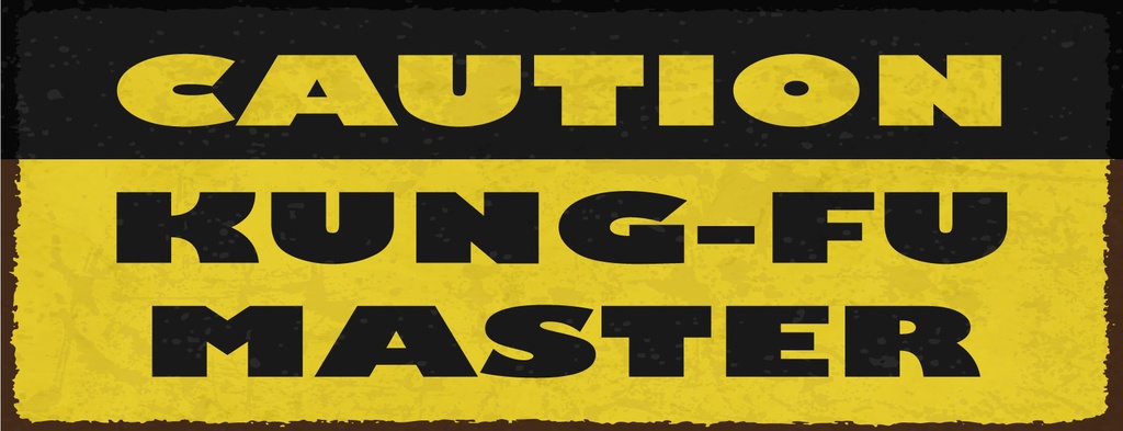 Holzschild 10x27 cm Caution Kung Fu Master