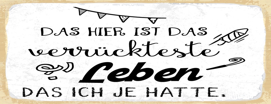 Holzschild 10x27 cm Das verrückteste Leben das ich je hatte