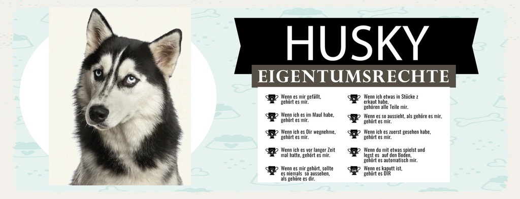 Holzschild 10x27 cm Hund Husky Eigentumsrechte
