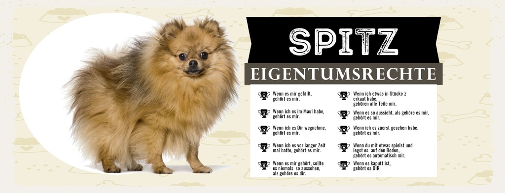 Holzschild 10x27 cm Hund Spitz Eigentumsrechte