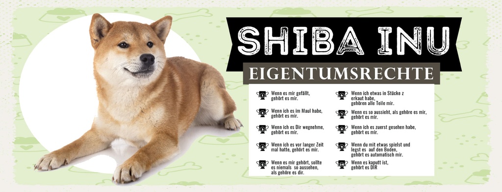 Holzschild 10x27 cm Hund Shiba Inu Eigentumsrechte