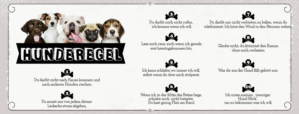 Holzschild 10x27 cm Hund Hunderegel ich komme wenn ich will