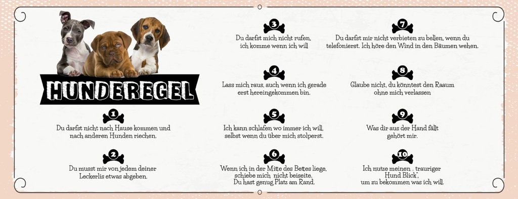Holzschild 10x27 cm Hund Hunderegel lass mich raus, auch wenn ich