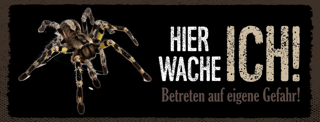 Holzschild 10x27 cm Hier Wache Ich Vogelspinne