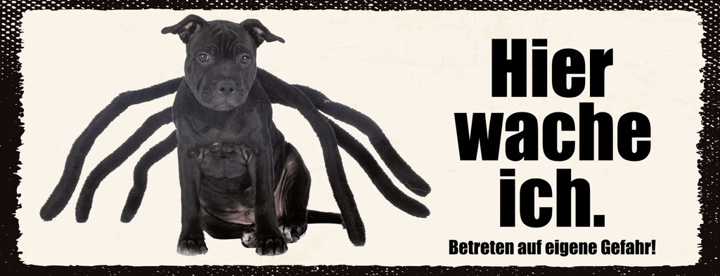 Holzschild 10x27 cm Hier Wache Ich Spider Hund