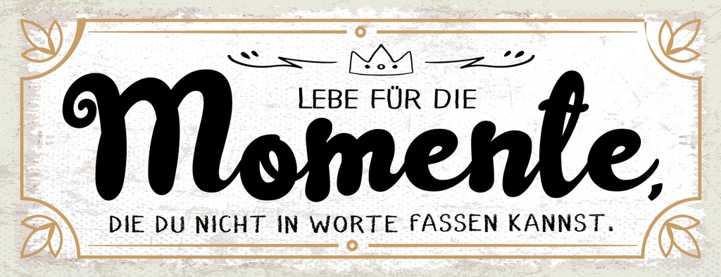 [LA-1811367-H] Holzschild 10x27 cm Momente die du nicht in Worte fassen kannst