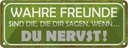 Blechschild 10x27 cm wahre Freunde sagen du nervst Familie