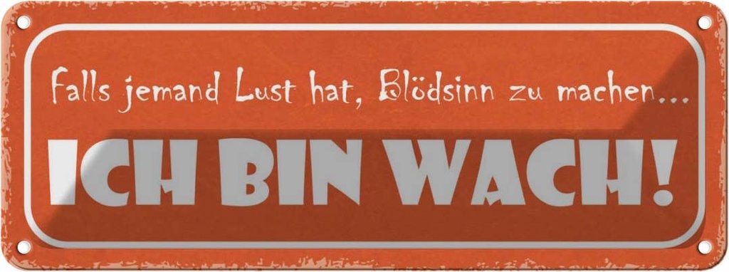 Blechschild 10x27 cm Blödsinn machen ich bin wach Dekoration Spruch Zitat